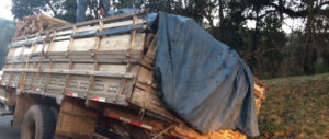 acidente br 277 Acidente entre van com pacientes de Goioerê e caminhão deixa 15 feridos na BR-277