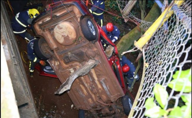 acidente arvore maringa Impressionante: Tronco de árvore atravessa veículo em acidente em Maringá
