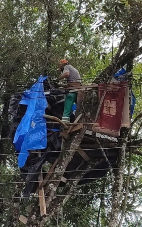 Casa em arvore Tarzan moderno residia em árvore em Curitiba