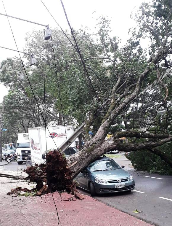 Foto de Temporal causa prejuízos