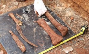 ossada humana Restos mortais são encontrados em terreno na Vila Operária