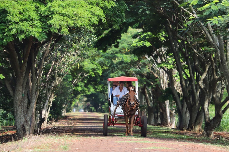 Foto de Turismo rural conquista visitantes em diversas regiões do Estado