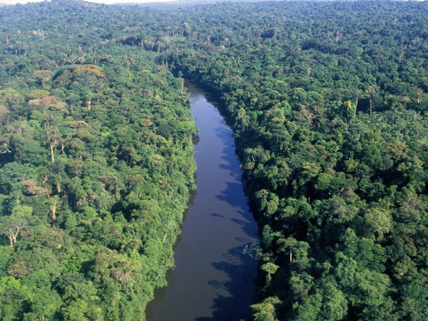 Foto de Como Brasil pode ganhar dinheiro com turismo ecológico sem derrubar a Amazônia