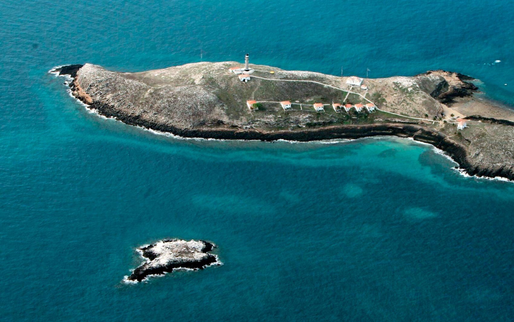 Foto de ‘Nada poderia ser pior que óleo chegar a Abrolhos’, dizem pesquisadores sobre risco a santuário marítimo na rota de mancha de petróleo