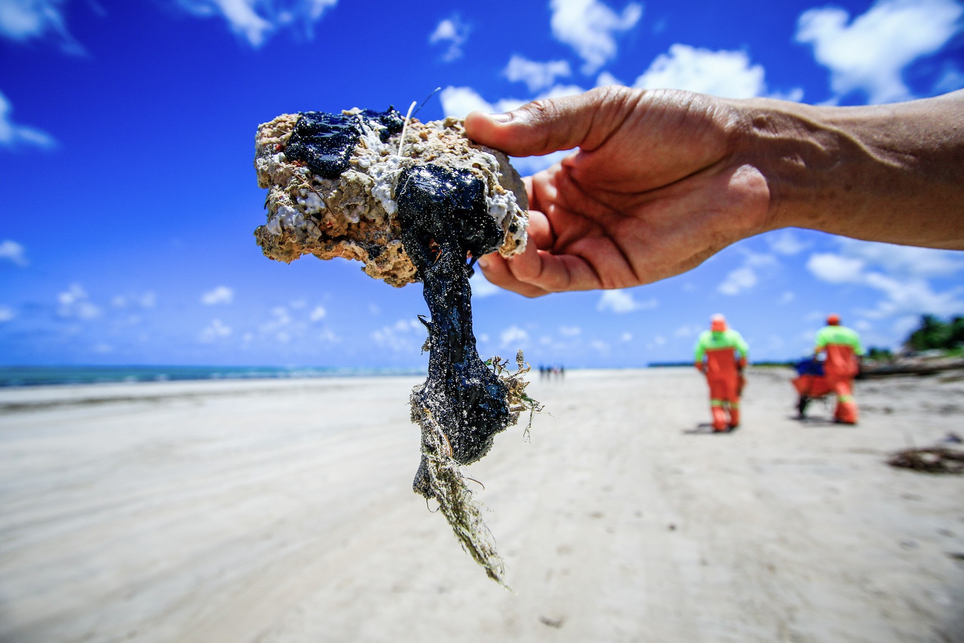 Foto de Por que muitas praias do Nordeste atingidas por petróleo não estão impróprias para banho