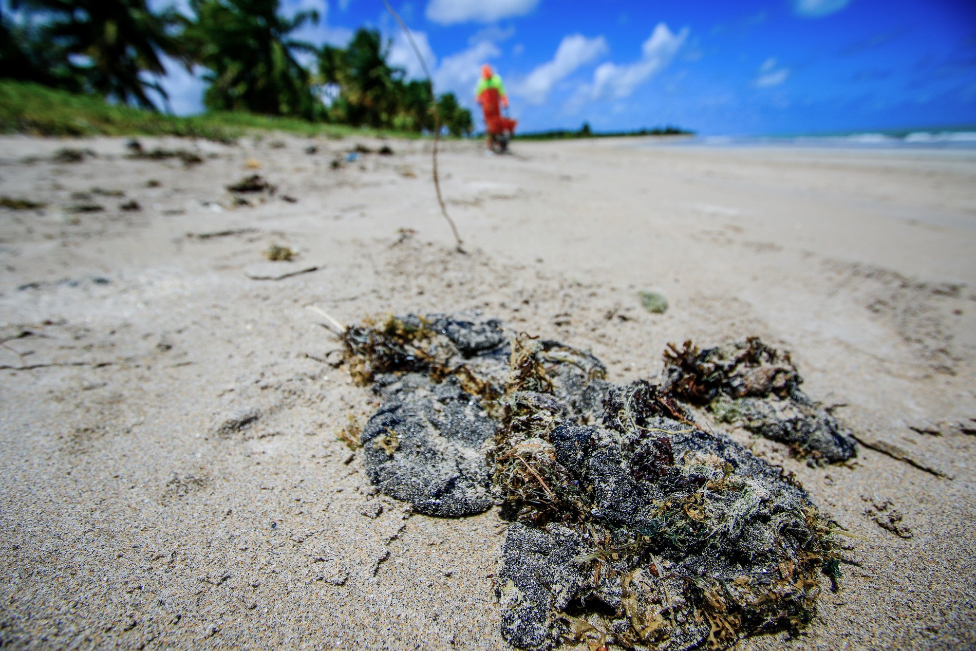 Foto de Como ficam viagens e passeios para praias atingidas por manchas de óleo no Nordeste? Especialistas tiram dúvidas