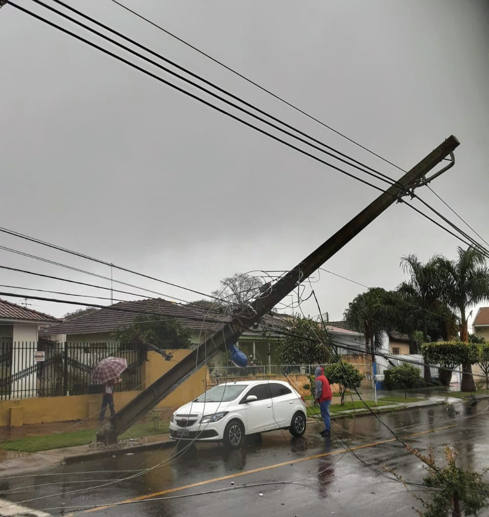 Foto de Quedas de árvores causam prejuízos em Maringá