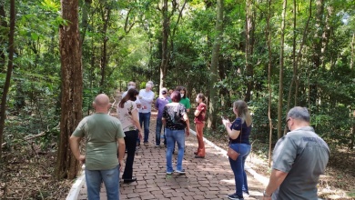 Foto de Parque do Ingá: vistoria constata regularidade de remoções