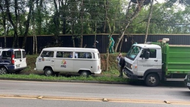 Foto de Tarzan moderno residia em árvore em Curitiba