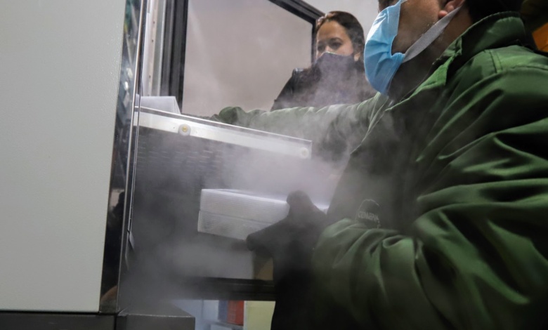 Pfizer Vacina da Pfizer deve chegar na semana que vem