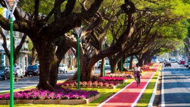 Foto de Maringaense se desloca de bike o dobro da média nacional