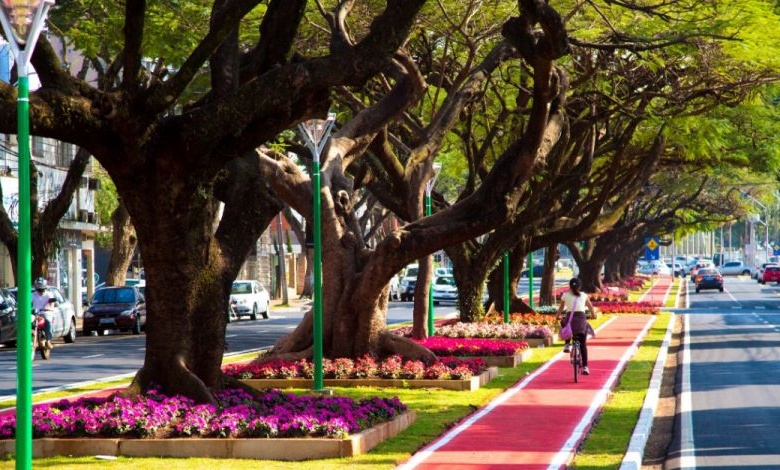 Maringaense se desloca de bike o dobro da média nacional 1 ciclovia Maringaense se desloca de bike o dobro da média nacional