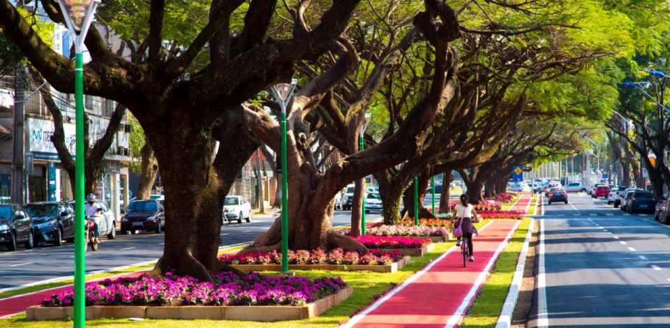 ciclovia Maringaense se desloca de bike o dobro da média nacional