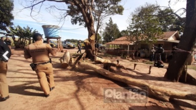 Foto de Criminosos morrem em confronto com a policia