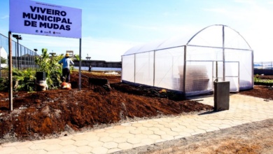 Foto de Detentos vão produzir mudas de árvores e flores para a Prefeitura de Maringá