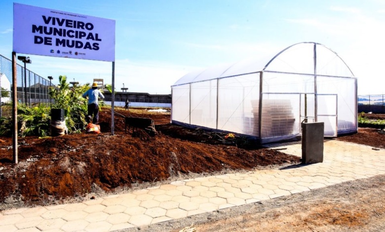 viveiro Detentos vão produzir mudas de árvores e flores para a Prefeitura de Maringá