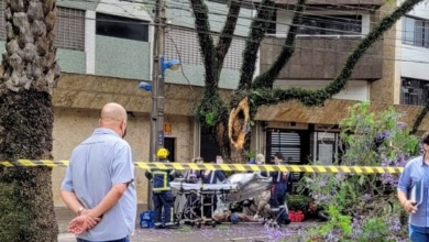 Foto de Galho cai sobre motociclista