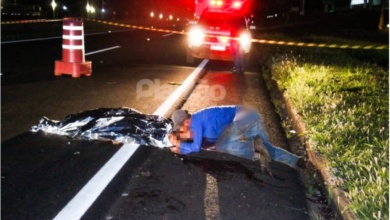 Foto de Atropelada na rodovia