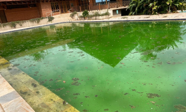 piscina clube hipico Dengue: abandonado, Clube Hípico preocupa