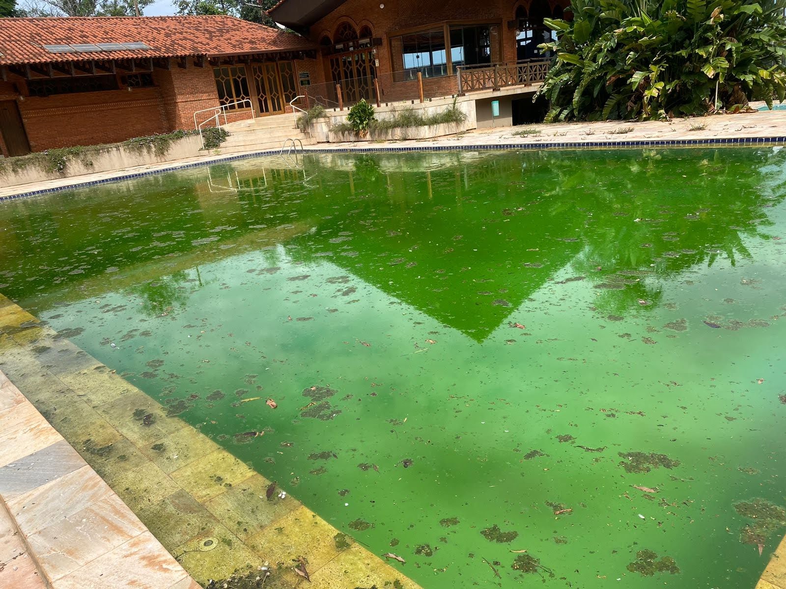 piscina clube hipico Dengue: abandonado, Clube Hípico preocupa