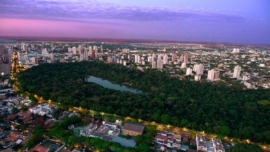 Foto de Maringá entra na lista das 120 cidades-árvores do mundo