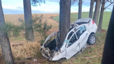 Foto de Carro parte ao meio após bater em árvore no Paraná.