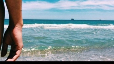 Foto de Município do Paraná ganhará praia de nudismo