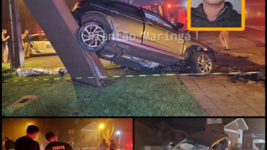 Foto de Uma pessoa morreu e três ficaram feridas após carro bater em árvore