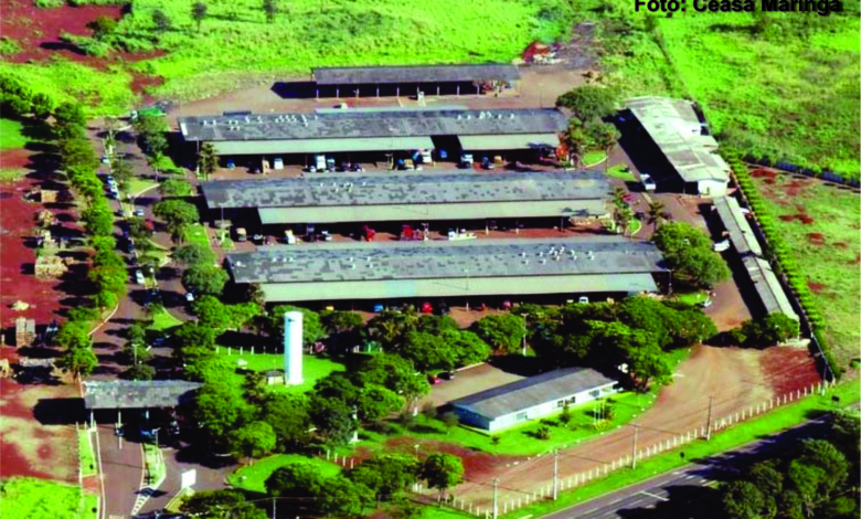 Ceasas atendem normalmente na segunda e na quarta; unidade de Maringá estará aberta na terça 1 ceasa Ceasas atendem normalmente na segunda e na quarta; unidade de Maringá estará aberta na terça