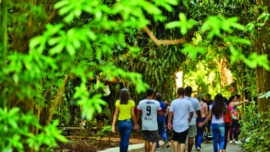 Foto de Parque do Ingá fica aberto na segunda e terça-feira de Carnaval