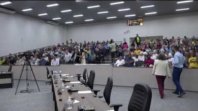 Foto de Câmara de Maringá vota projeto do feriado do Dia da Consciência Negra