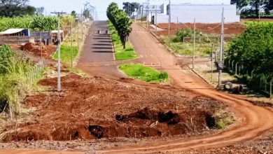 Foto de Ponte começa a ser construída