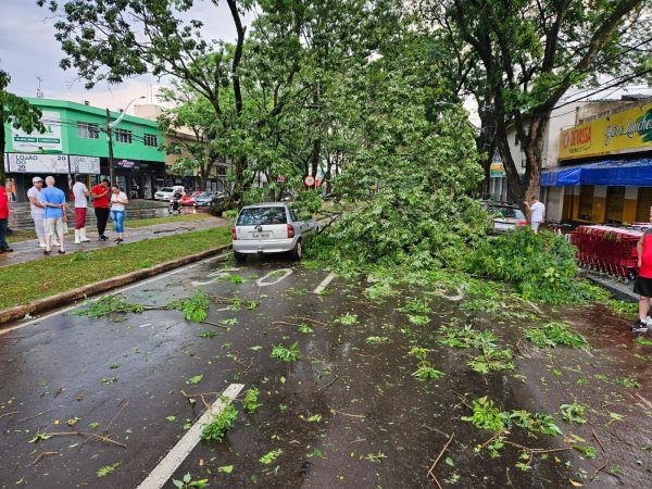 tempestade 2 Tenda desaba com forte chuva e deixa 8 pessoas feridas em Maringá