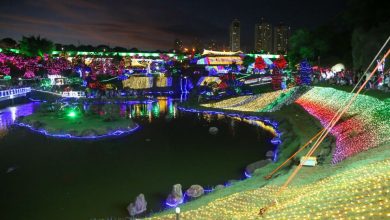 Foto de Com iluminação especial, abertura da ′Maringá Encantada′ no Parque do Japão reúne milhares de pessoas