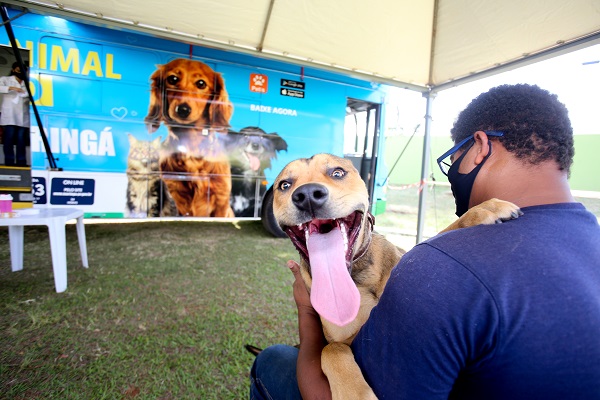 cao cachorro pet Prefeitura ultrapassa marca de 37 mil castrações gratuitas e amplia fiscalização contra maus-tratos de animais