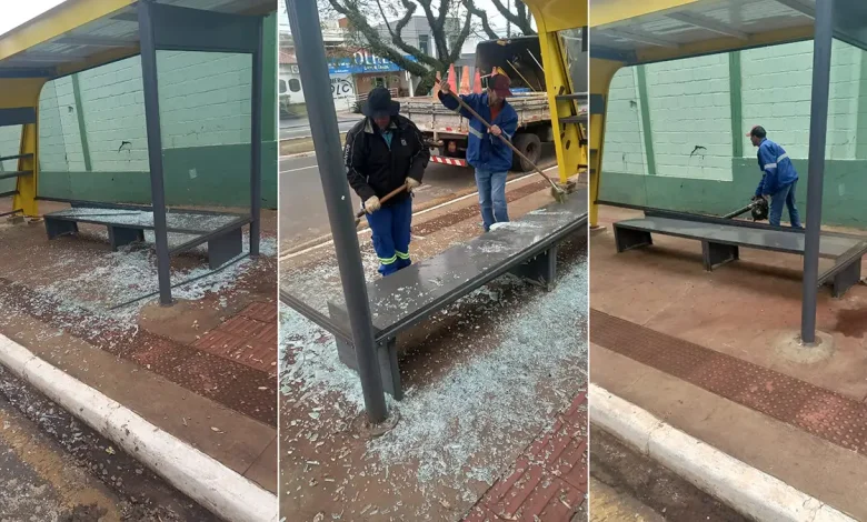 Vandalismo 1 abrigo Vandalismo