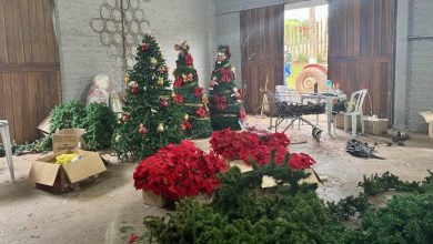 Foto de Sociedade Rural de Maringá promove Natal Rural com decoração e programação especial