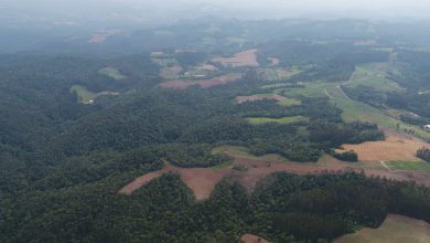 Foto de Desmatamento irregular destrói uma das maiores reservas ambientais de Santa Catarina