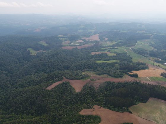 area destruida da Fazenda Parolin scaled e1734006825599 Desmatamento irregular destrói uma das maiores reservas ambientais de Santa Catarina