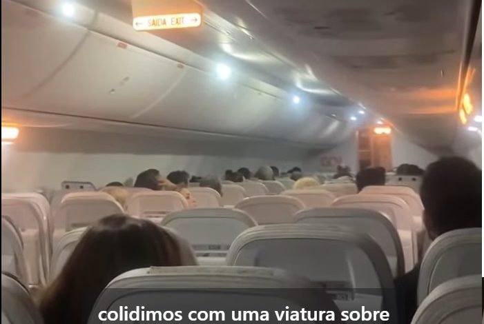 Este ano está esquisito 1 aviao Este ano está esquisito