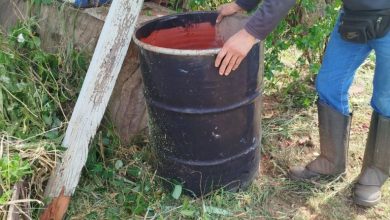 Foto de Prefeitura intensifica as ações de combate e prevenção à dengue