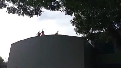 Foto de Prefeitura lamenta episódios no abrigo