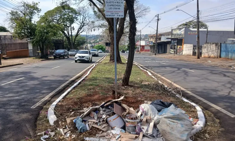 lixo canteiro O que fazer com essa situação cotidiana em Maringá