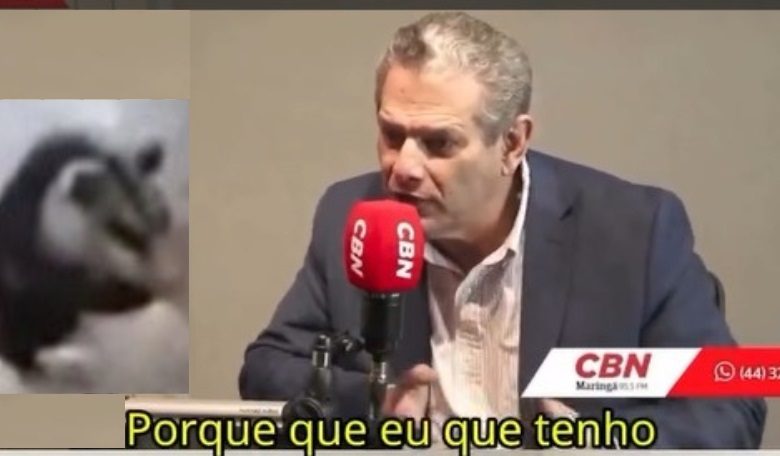 silvio e gamba Prefeito Silvio Barros II é desmentido por documentos