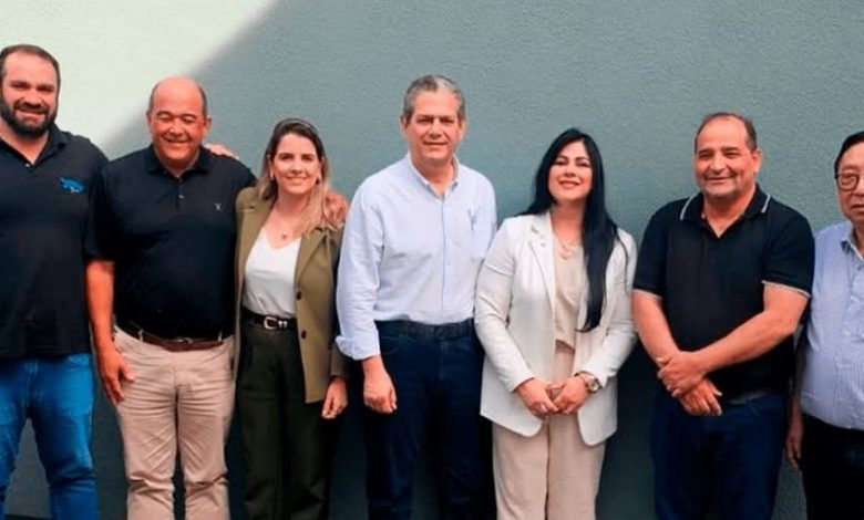 vereadores pp Aparentemente a paz