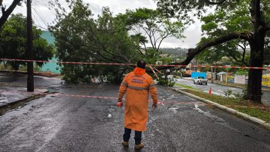 Foto de Equipes da Prefeitura estão nas ruas para atendimento de ocorrências causadas pelas chuvas e ventos fortes