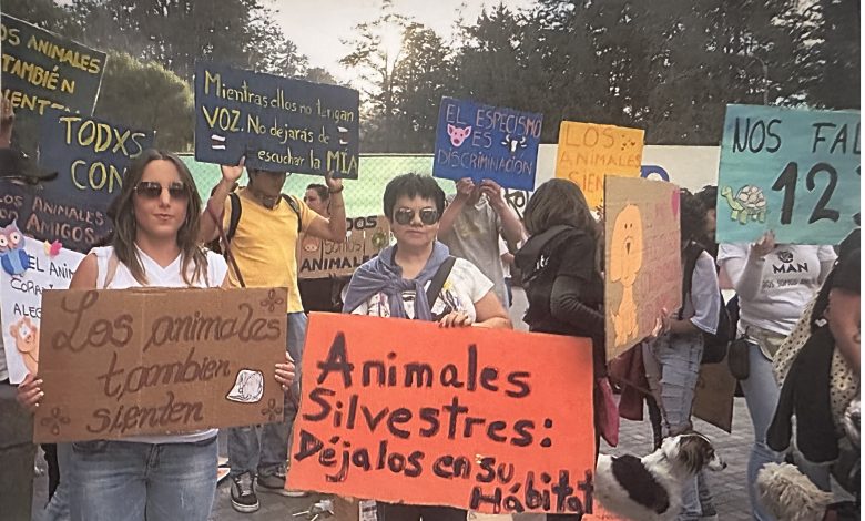 tereza Maringaense integra a Academia Brasileira de Direito Animal e Natureza