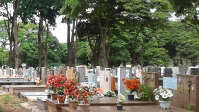 Foto de Contra o furto no cemitério