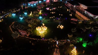 Abertura do Natal no Parque do Japão emociona milhares de pessoas 2 Foto de Abertura do Natal no Parque do Japão emociona milhares de pessoas