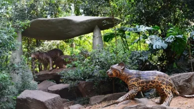 Foto de Novos projetos…ideias ultrapassadas